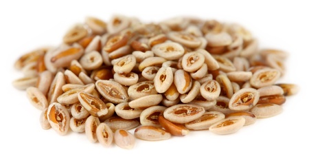 graines de psyllium graines de psyllium
