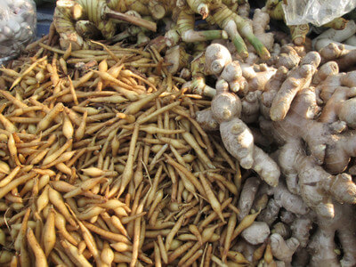 gingembre vs ginseng gingembre vs ginseng