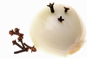 oignon piqué de clous de girofle oignon piqué de clous de girofle