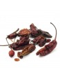 piment naga viper jolokia