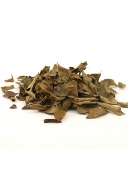 Kaloupile feuilles de curry