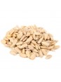 Graines de tournesol bio