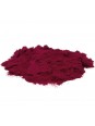 Poudre de betterave rouge