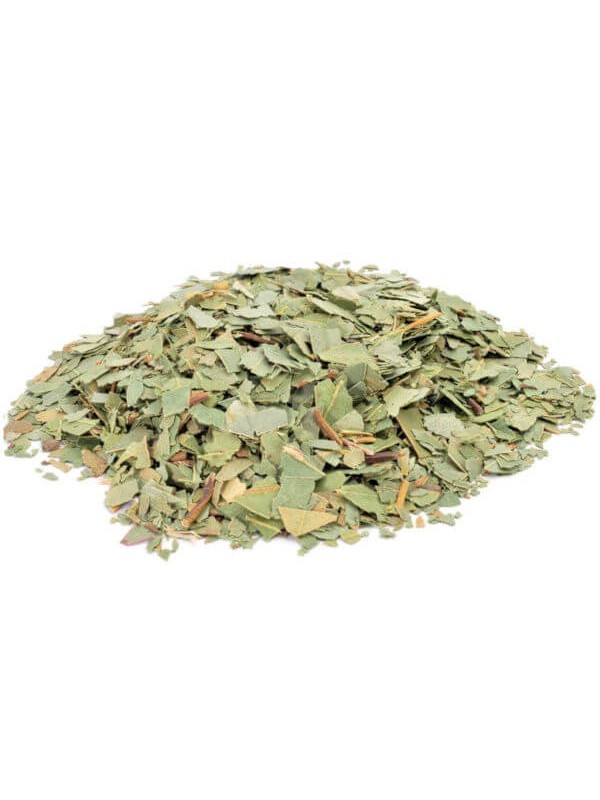 Feuilles d'eucalyptus séchées pour infusion