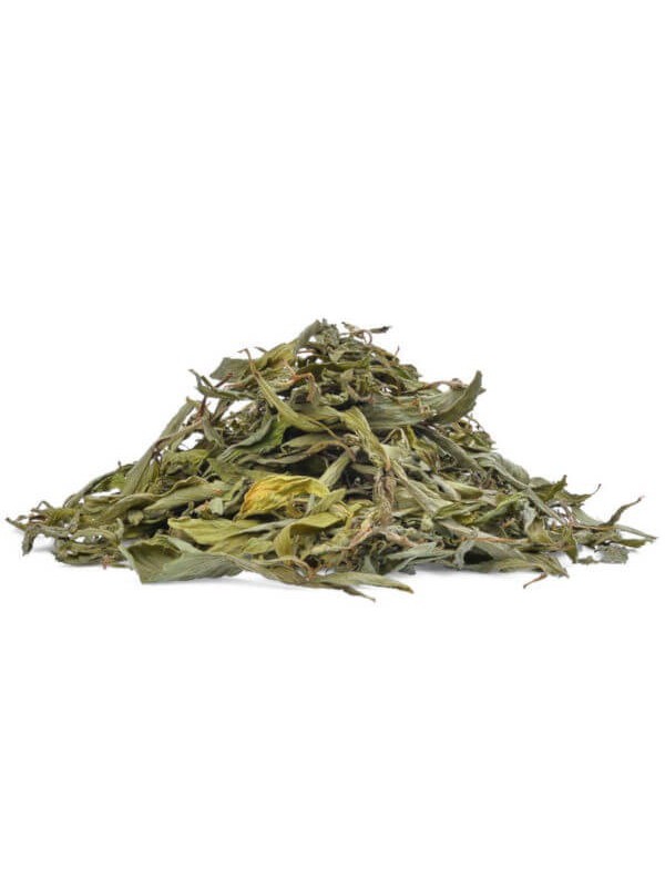 Feuilles de stevia rebaudiana séchées