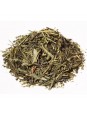 Thé vert Sencha