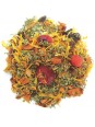 Infusion feuille d'olivier cranberry BIO