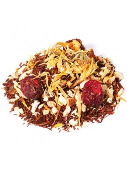 Rooibos tête de lion cranberry orange gingembre