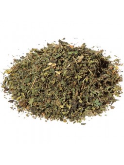 Feuilles d'ortie dioïque bio