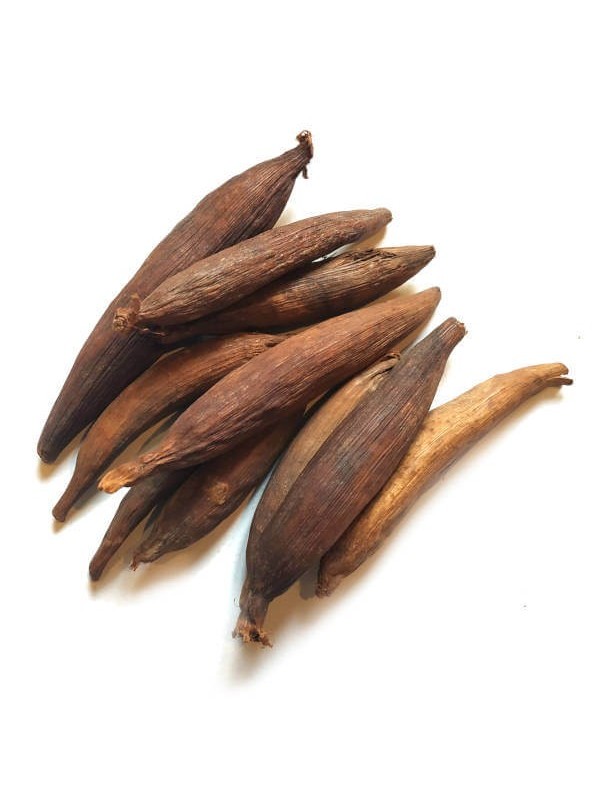 Graines de la paix jujube