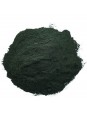 Chlorella en poudre