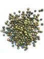 Poivre vert de Malabar lyophilisé biologique