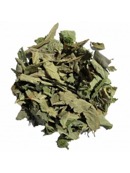 Feuilles de myrtille séchées pour tisane et infusion