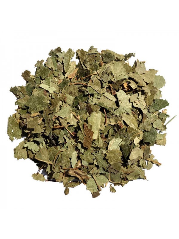Feuilles de bouleau séchées pour tisane et infusion