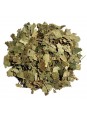 Feuilles de bouleau séchées pour tisane et infusion
