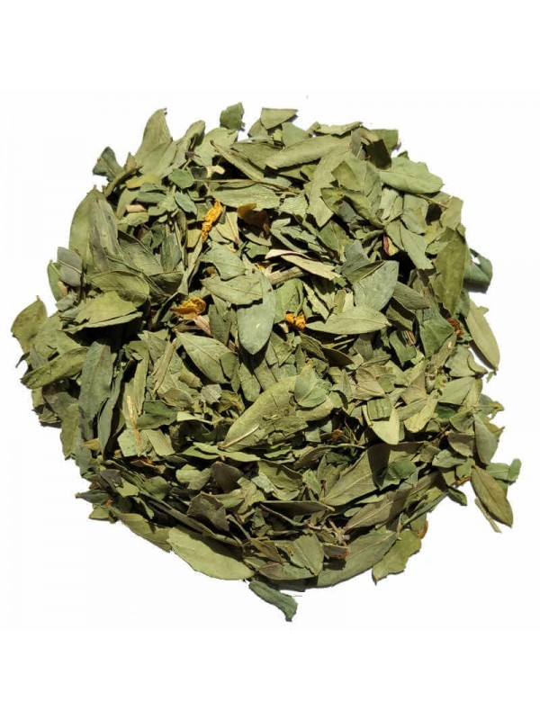 Feuilles de séné (sana mekhi) séchées pour tisane et infusion