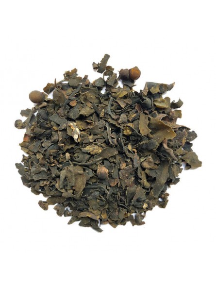Algue fucus séchée