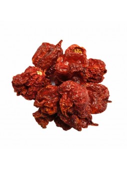 Piment entiers de Carolina Reaper faucheuse de caroline