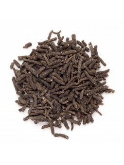 Poivre long du Népal (poivre choco)