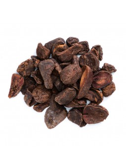 Noix de kola séchées