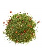 Mélange d'herbes pour poisson