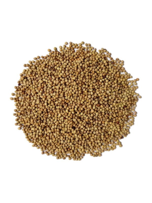 Perles de poivre long
