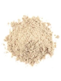 Shatavari Bio poudre