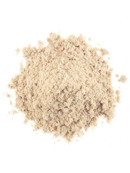 Shatavari Bio poudre