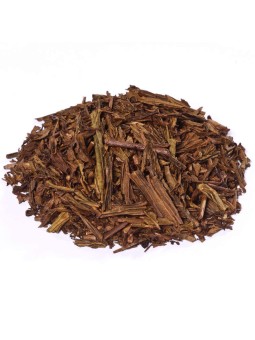 Hojicha thé torréfié