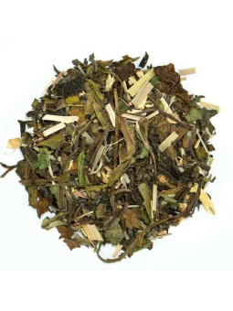 Thé blanc gingembre menthe Bio