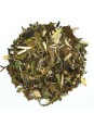 Thé blanc gingembre menthe Bio