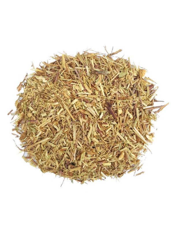 aurone mâle séchée (armoise citronnelle)