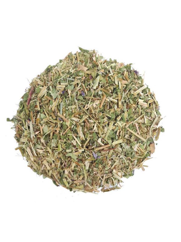 épilobe séchée pour tisane