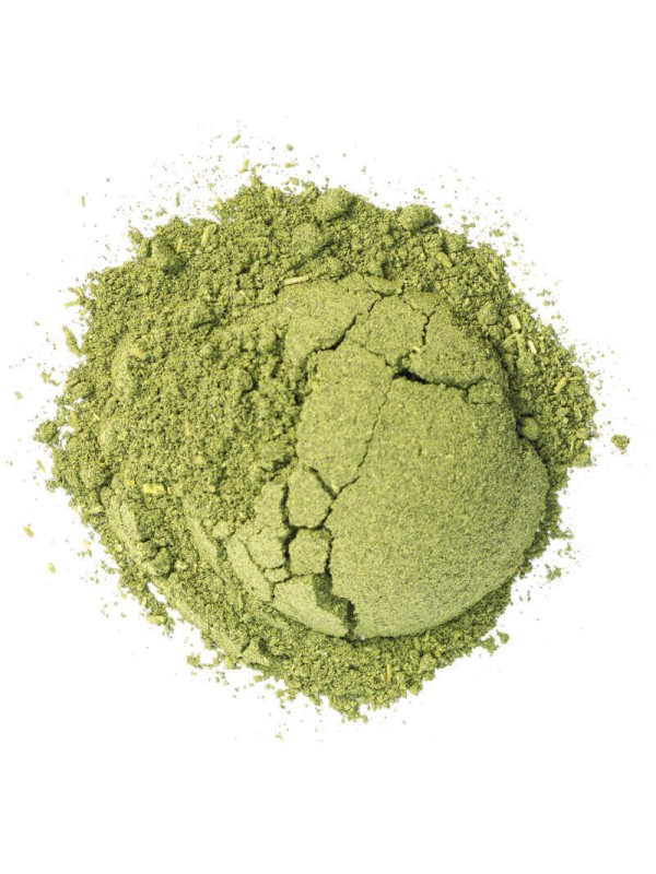 Moringa bio en poudre
