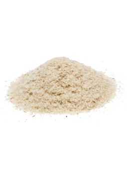 téguments de psyllium blond BIO