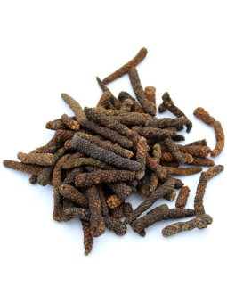 Poivre long de Java