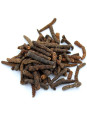 Poivre long de Java