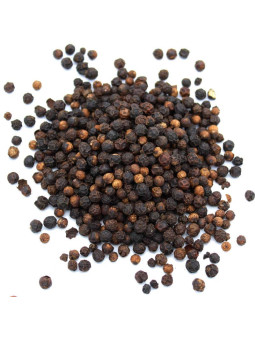 Poivre karimunda du Kerala indien
