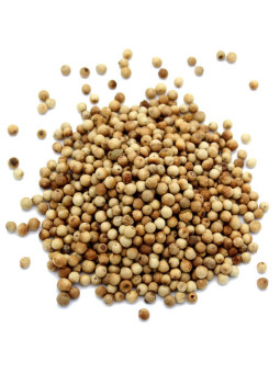 Poivre blanc fumé du Sri Lanka biologique