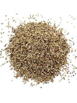 Perles de poivre long