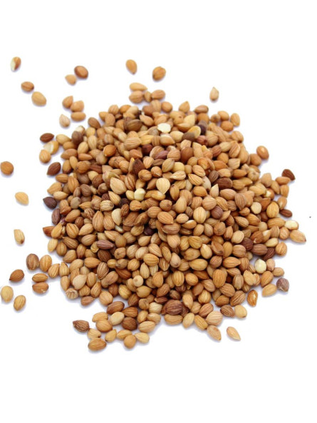 Graines de mahaleb ou mahlep