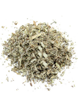 Feuilles de sauge séchées