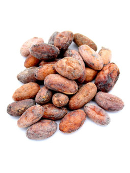 Fèves de cacao crues