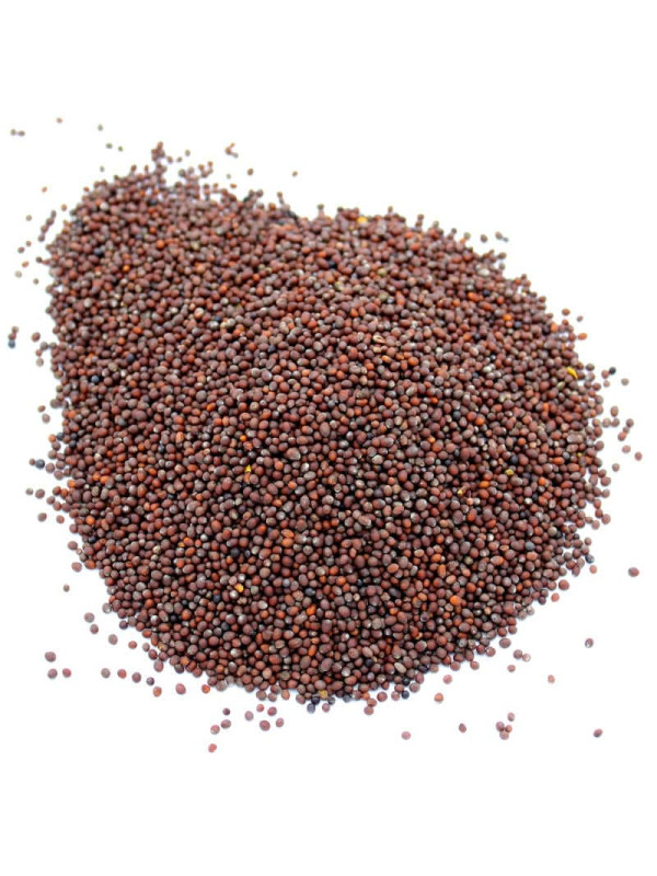 Graines de moutarde brunes