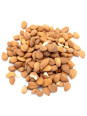 Amandes d'abricots amers sauvages