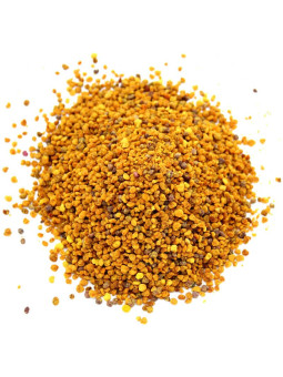 Pelotes de pollen d'abeille