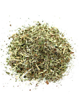 Reine des prés pour infusion