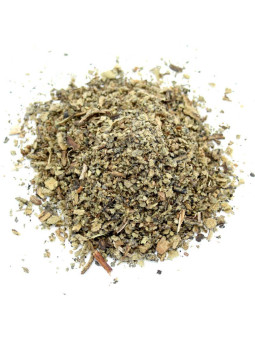 Molène Bouillon blanc séché