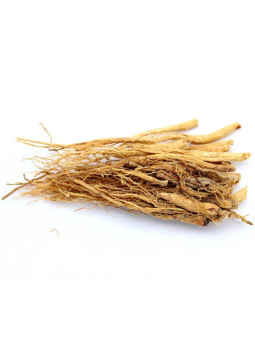 Racines de ginseng asiatique blanc séchées