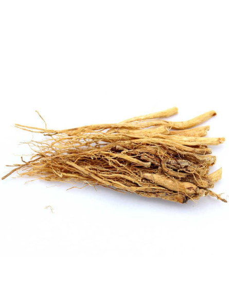 Racines de ginseng asiatique blanc séchées